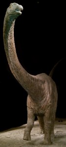 Can you see the disbelief in his eyes as he discovers his existence is merely another one of science's heartbreaking fabrications? Brontosaurus