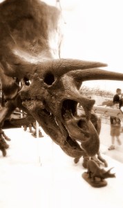 Another spirit, soon to be broken by the discovery that the triceratops is no more. Triceratops