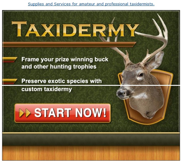 amateur taxidermy supplies