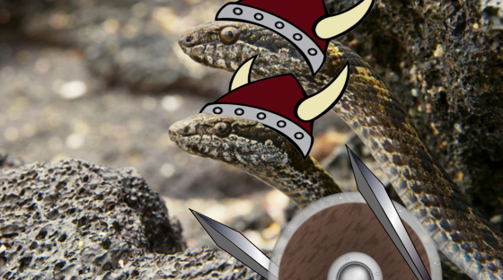 I spent way too long on photoshopping this