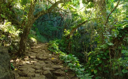 kauai trail